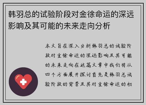 韩羽总的试验阶段对金徐命运的深远影响及其可能的未来走向分析