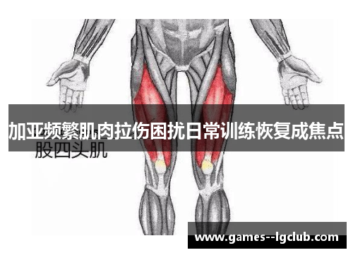 加亚频繁肌肉拉伤困扰日常训练恢复成焦点